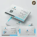 ice silver-01.webp